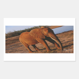 Stickers Big Red Elephant