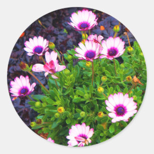 Stickers Blancs et Violets Africains #1