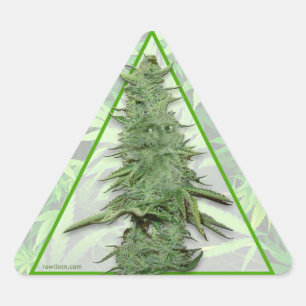 Stickers Bob vert (20)