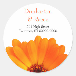 Stickers Bright Daisy