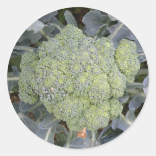 Stickers Broccoli