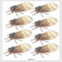 Stickers Brood X Périodical Canada : 8 par feuille