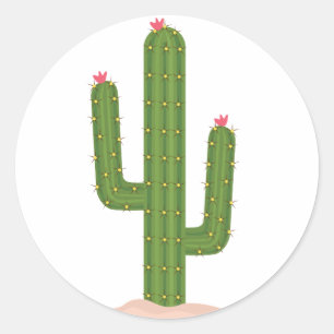 Stickers Cactus vert rose