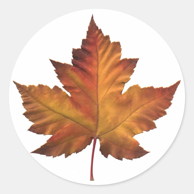 Stickers Canada Souvenir en feuille d'érable (Devant)