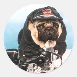 Stickers carlin Biker