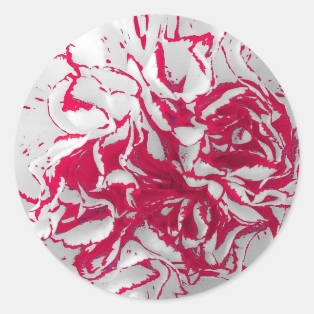 Stickers - Carnation en rouge et blanc (Devant)