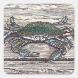Stickers Carré de crabe bleu sur quai