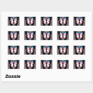 Stickers Carré de papillon Trans Pride