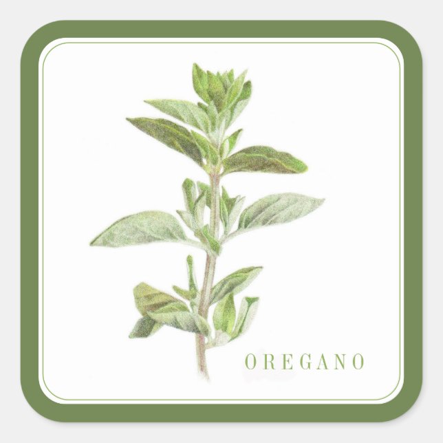 Stickers Carré OREGANO FRAIS (+texte) Vert (Devant)