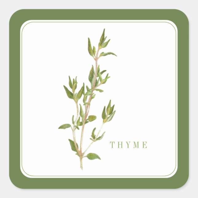Stickers Carré PEU FRAIS THYME - Vert (Devant)