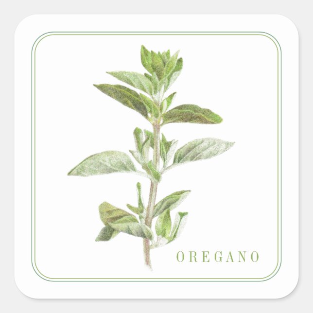 Stickers Carrés FRAIS OREGANO (Devant)