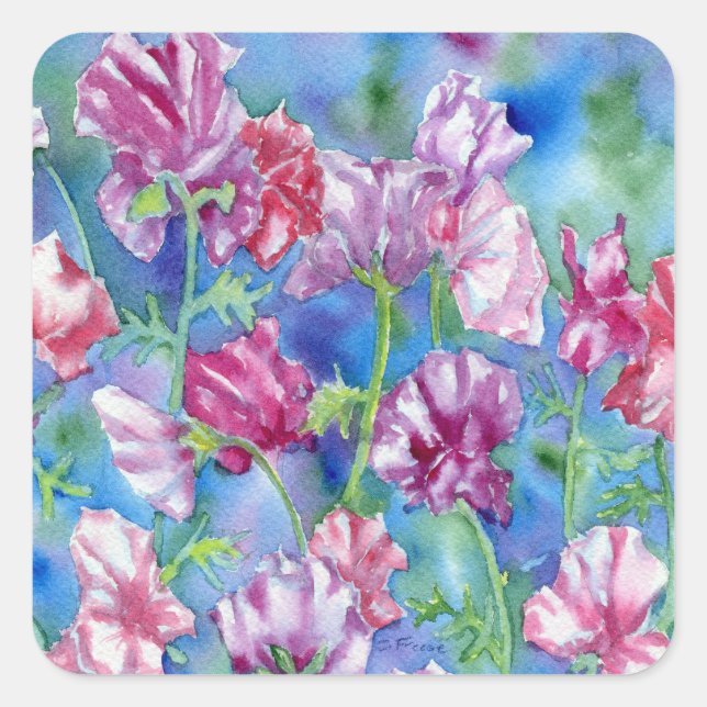 Stickers Carrés "Garden Sweet Peas" (Devant)