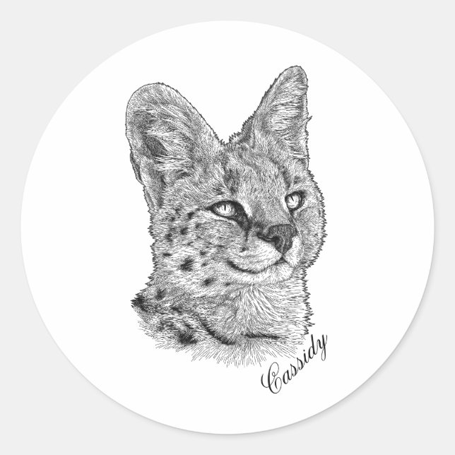 Stickers - Cassidy (Vorderseite)