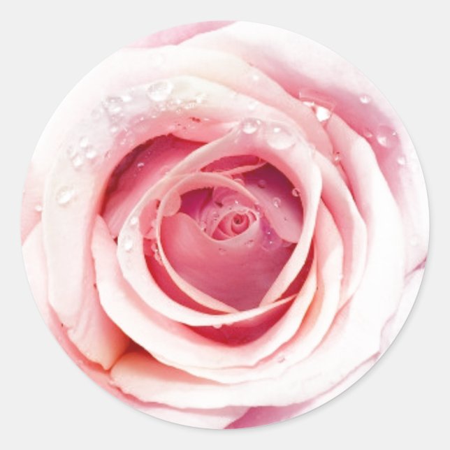 Stickers Cercle Rose (Devant)