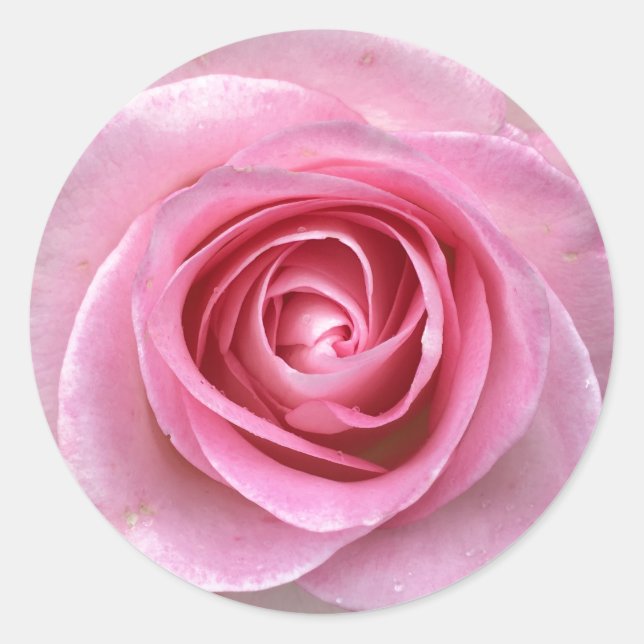 Stickers Cercle Rose (Devant)