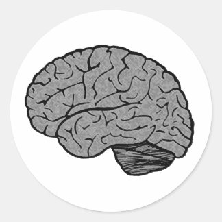 Stickers Cerveau Stylisé