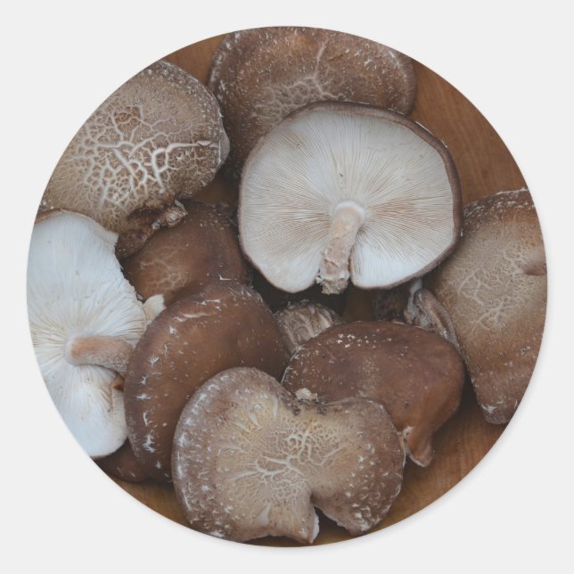 Stickers champignon Shiitake (Devant)