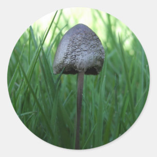 Stickers Champignons