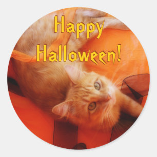 Stickers Chat Halloween
