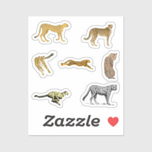 Stickers Cheetah