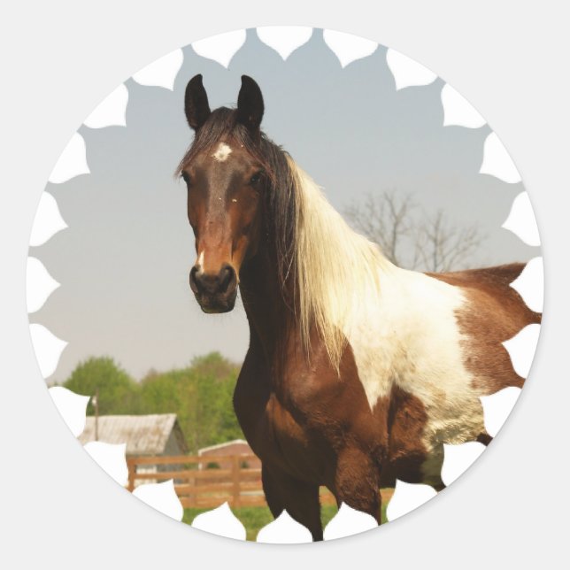 Stickers Cheval Paint (Devant)