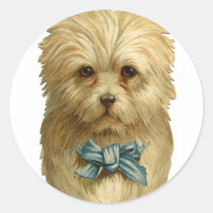 Stickers Chien Blanc vintage