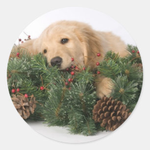 Stickers Chien de Noël mignons