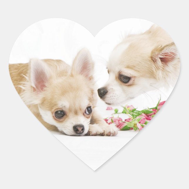 Stickers Chien Valentine (Devant)