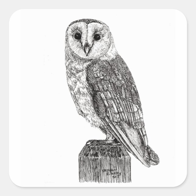 Stickers Chouette 2 (Devant)