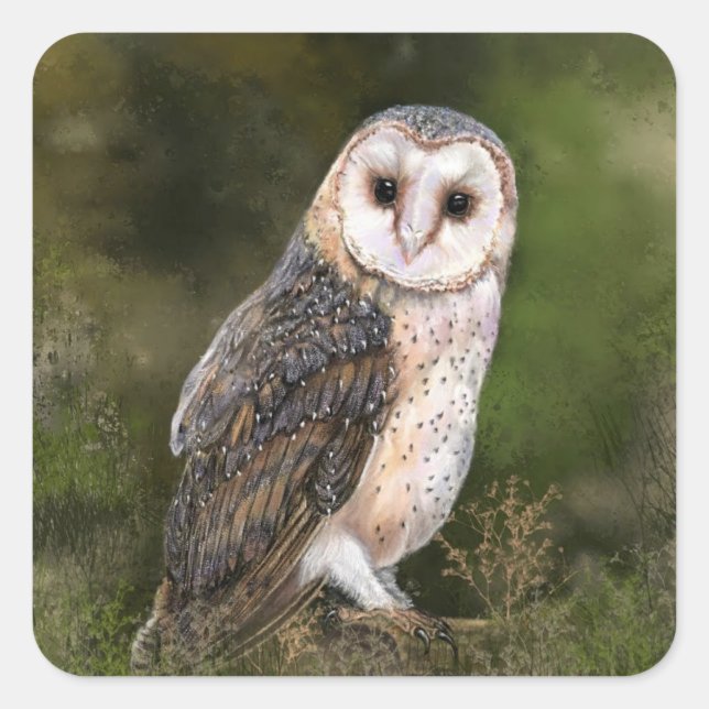 Stickers Chouette de l'Ouest - Peinture (Devant)