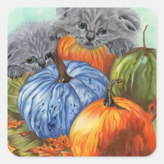 stickers citrouille et chatons
