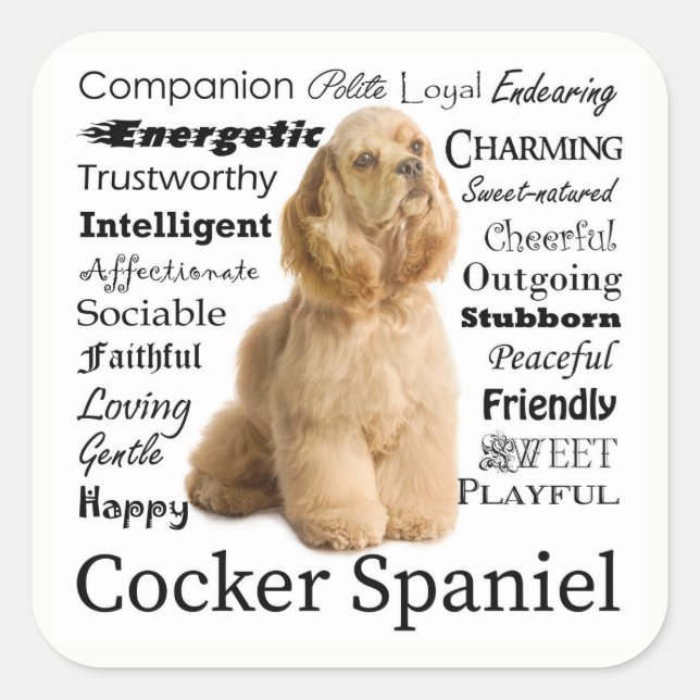 Stickers Cocker Spaniel Traits (Devant)
