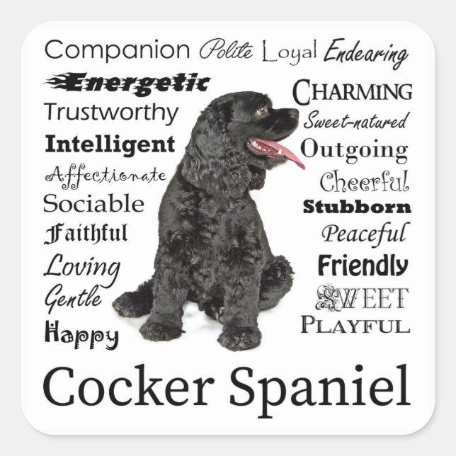 Stickers Cocker Spaniel Traits (Devant)