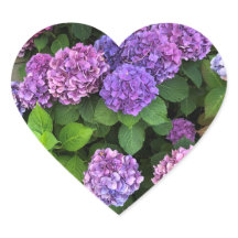 Stickers Coeur Hydrangea