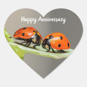 Stickers Coeur Ladybugs Anniversaire