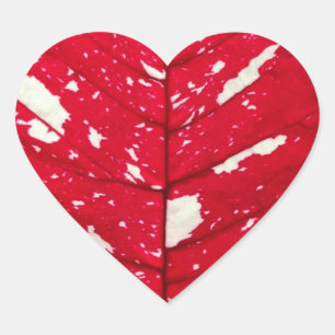 Stickers Coeur Poinsettia Feuille