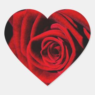 Stickers Coeur Rose rouge et joints d'enveloppe