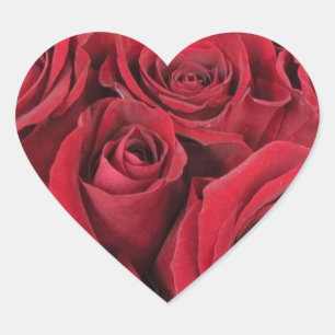 Stickers Coeur Roses Rouges