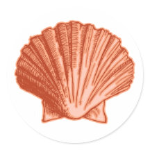 Stickers Coquillage Orange