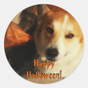 Stickers Corgi d'Halloween