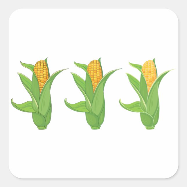 Stickers Corn Cobs (Devant)