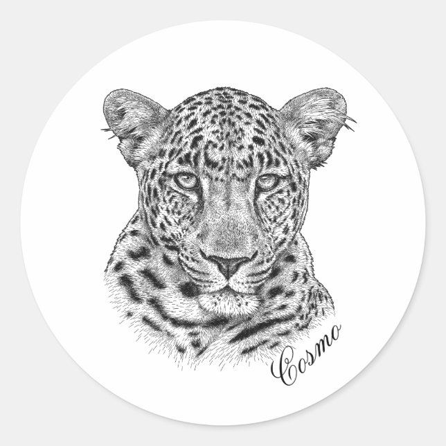 Stickers - Cosmo (Devant)