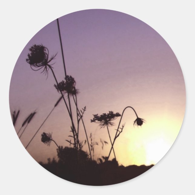 Stickers Coucher de soleil (Devant)