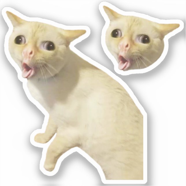 Stickers Coughing Cat Meme Aufkleber (Vorderseite)
