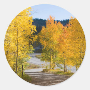 Stickers couleur Colorado