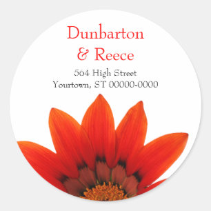 Stickers Crimson Daisy