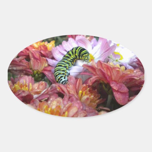 Stickers Cute Caterpillar (Devant)