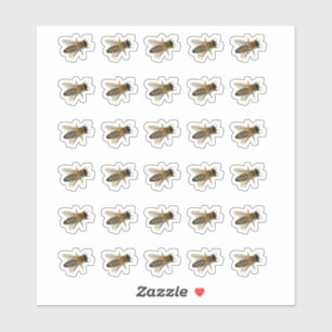 Stickers d'abeilles blanches ou transparentes