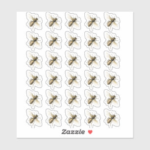 Stickers d'abeilles Vintages transparentes ou blan