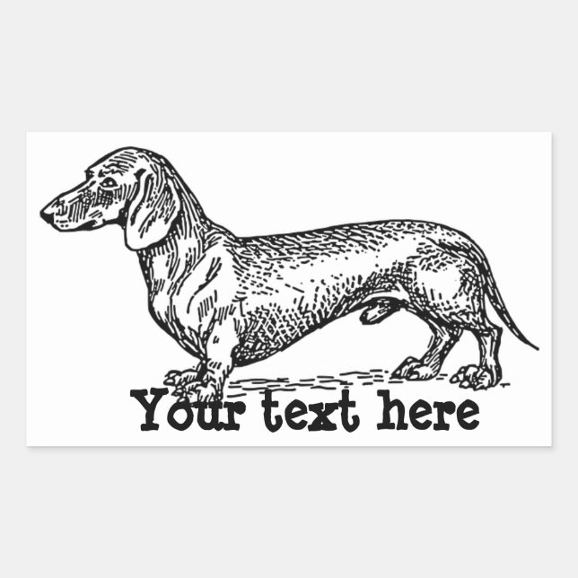 Stickers Dachshund personnalisés (Devant)